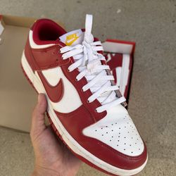 Size 10.5 - Nike Dunk Low USC