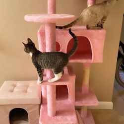 Cat Tree & Cat House