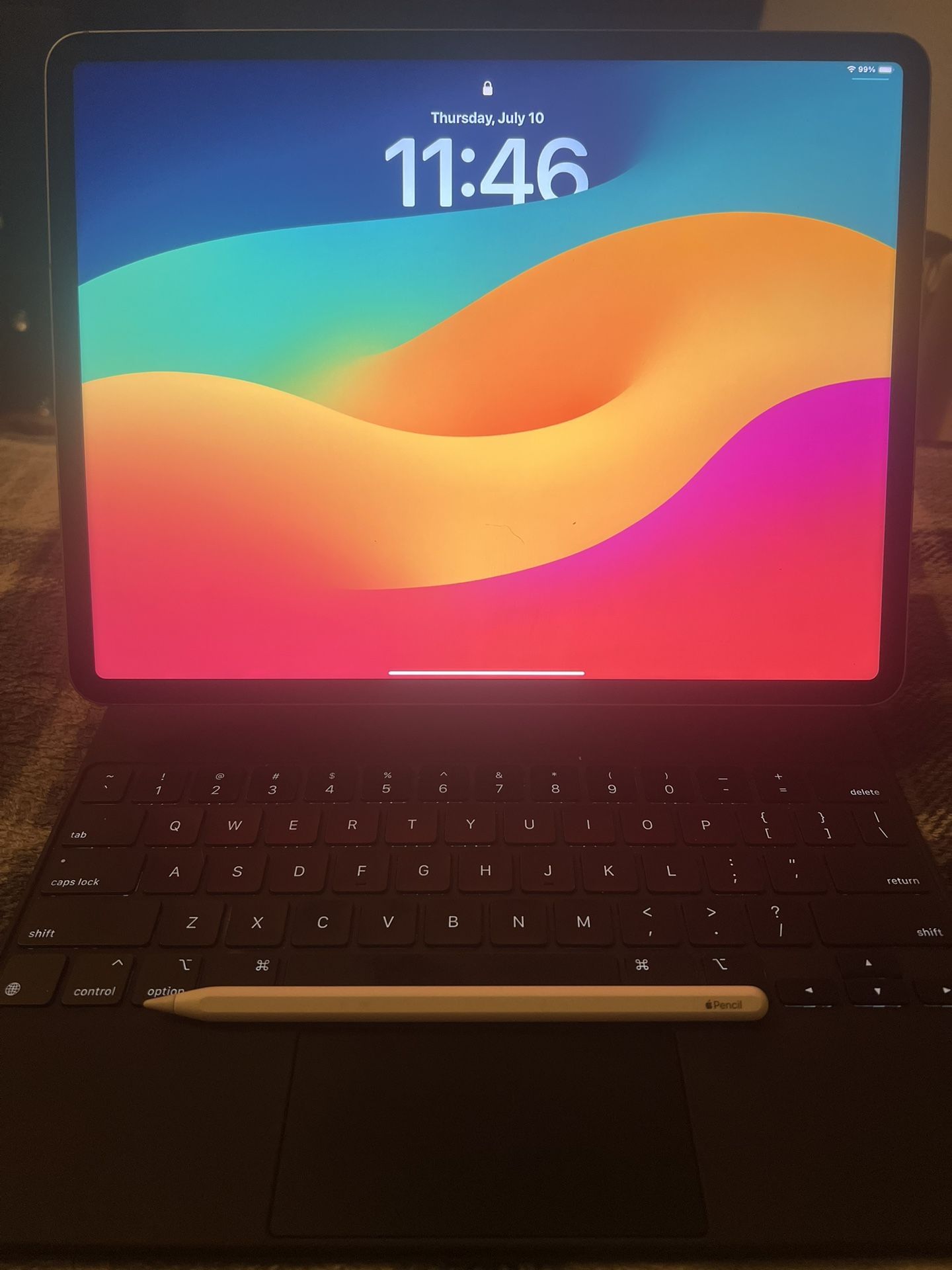 6th gen IPad Pro 12.9inch Display