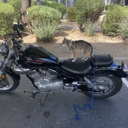 Yamaha V-Star 250 Black Year 2015 Mileage 12129