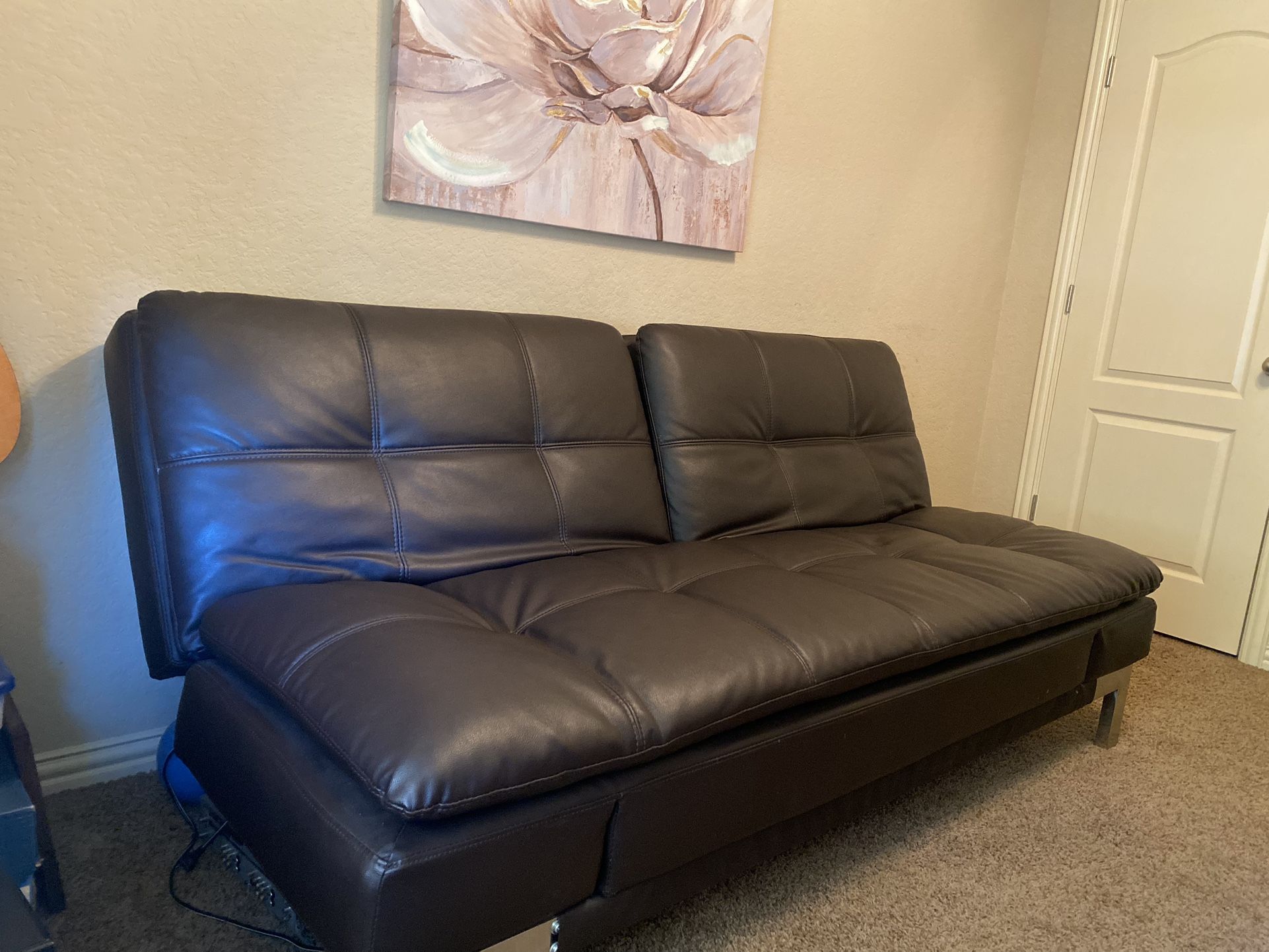 Purchased At Costco Futon and Sleeper Sofa