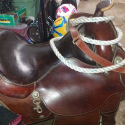 Circle Y Saddle 