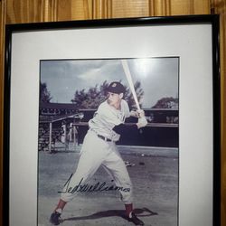 Ted Williams Signed Picture