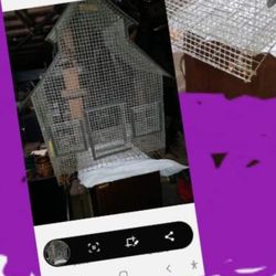 Large Bird Cages, I Have 2 To Sell They Are Same 100 ,,, 50= A Piece. 