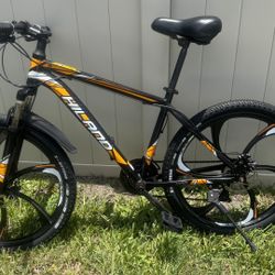 Mountain Bike