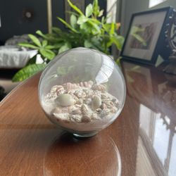 Sand and Shell Snowglobe☀️