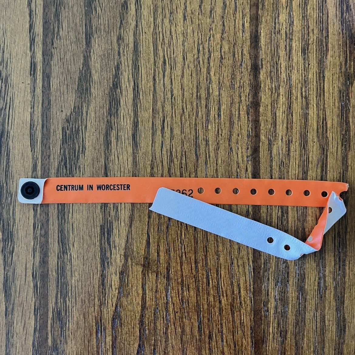 Centrum Worcester NIN Nine Inch Nails Concert Wristband MA Vintage 1990s