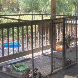 Dog  Cage And Dog Kennel 