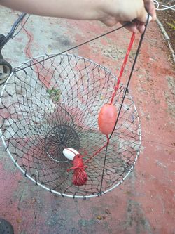 Bridge net