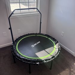 48 Inch BCAN Rebounder
