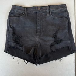 Women’s Shorts