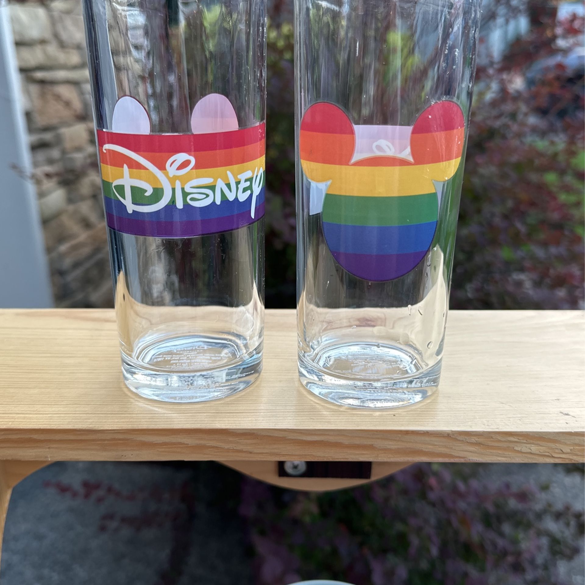 Walt Disney Co Character Glasses Mickey Minnie Donald Duck Pluto Goofy  Rainbow Glasses for Sale in Tacoma, WA - OfferUp