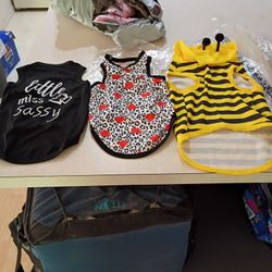 Adorable Dog And Cat Outfits 