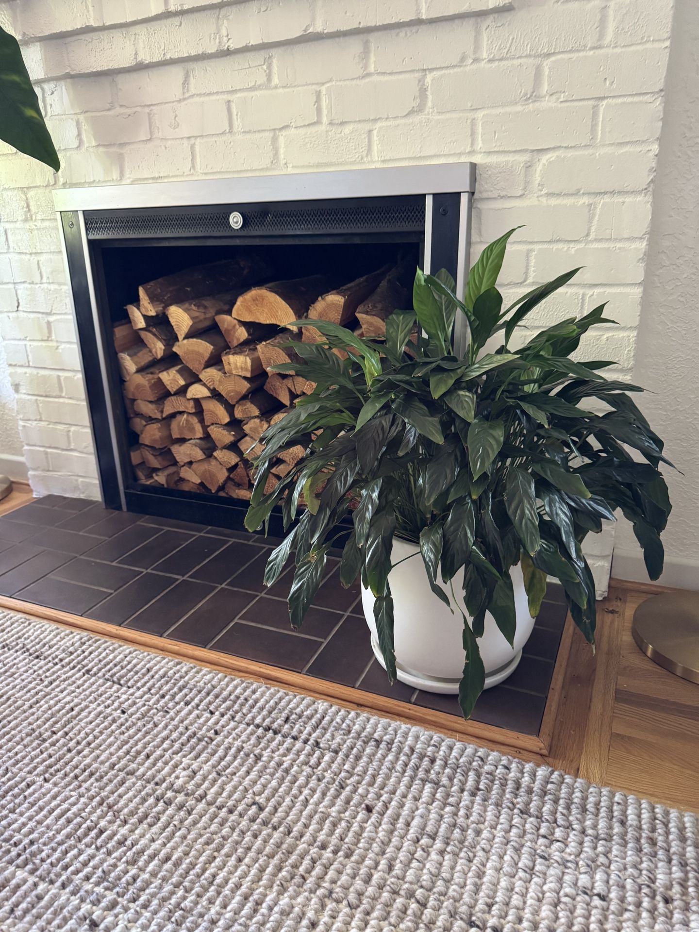 Peace lily plant In Modern mid Century Matte White Pot