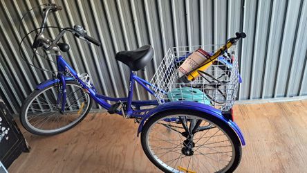 Adult Tricycle