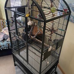 Bird cage
