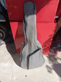 Palmer guitar case