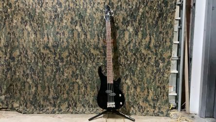 Rogue Bass