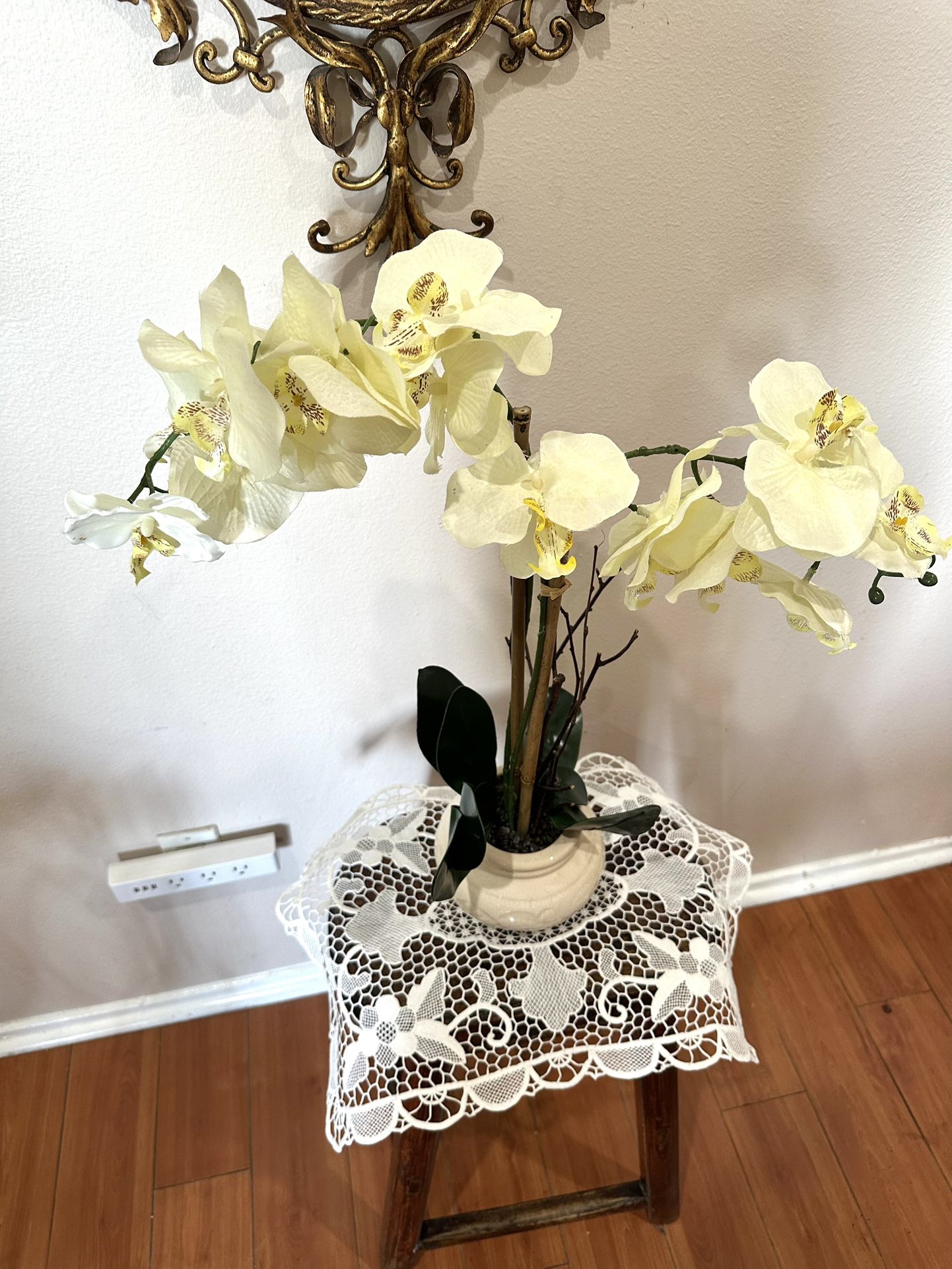 Decorative flower in a pot for the house Decor in Home Office 