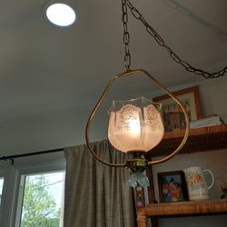 Vintage Hanging Lamp, Plug In