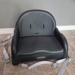 Graco Blossom Toddler Booster Seat