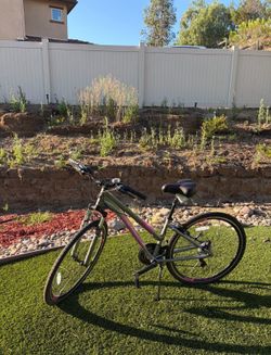Schwinn Bike