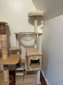 Kitten Condo-Right