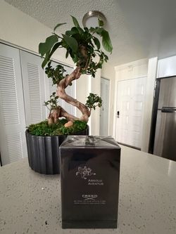 Creed Absolu Aventus 100ml  – Nuevo Sellado
