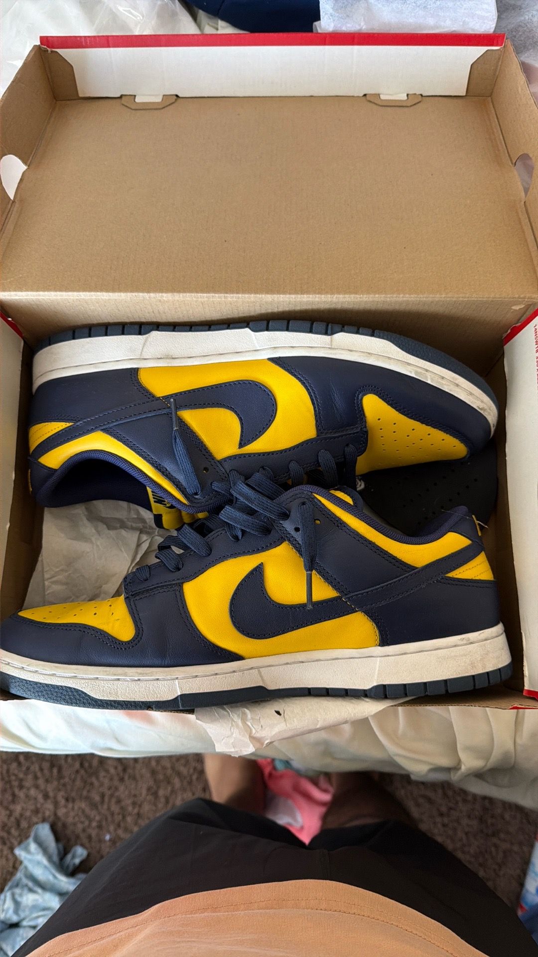 MICHIGAN DUNKS