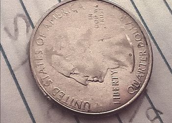 2015 Homestead quarter