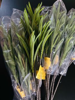 12pc NEW Michaels Ashland Green Dracaena Leaf Faux Tropical Stems NWT