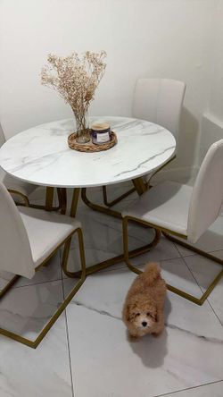 Juego de comedor
