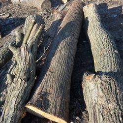 Logs