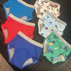 Hanes Potty Training Underwear