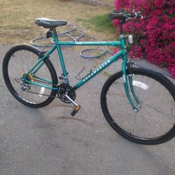 26 INCH Roadmaster Bike Best Offer 