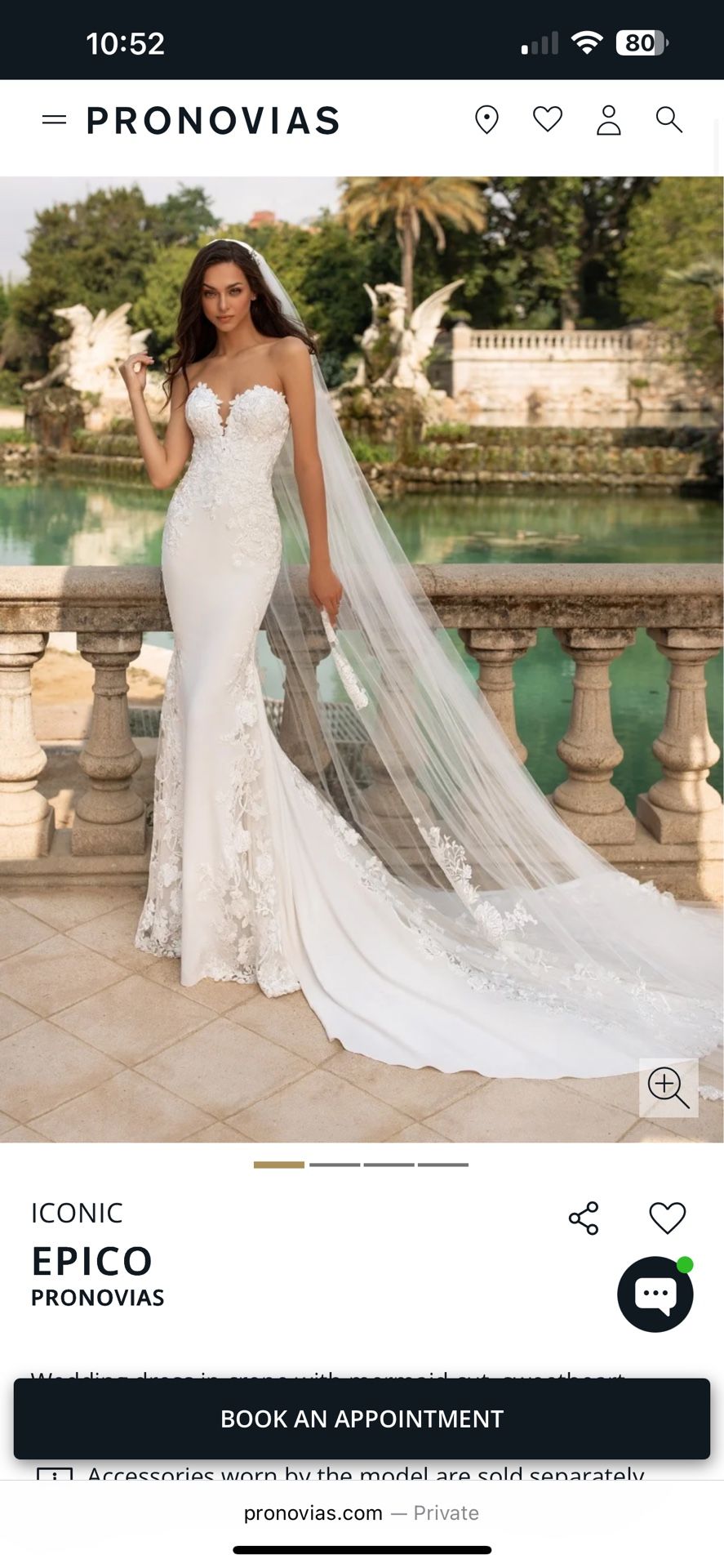 Pronovias Epico Wedding Dress