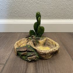 Reptile Water Bowl