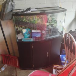 40 Gallon Bow Front