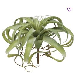 Brand New Artificial Air Plant Succulent 