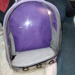 Cat Backpack 