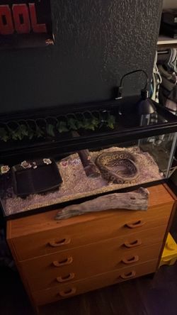20 gallon long reptile tank with lid