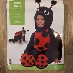 Ladybug Custom Infant 12-24  