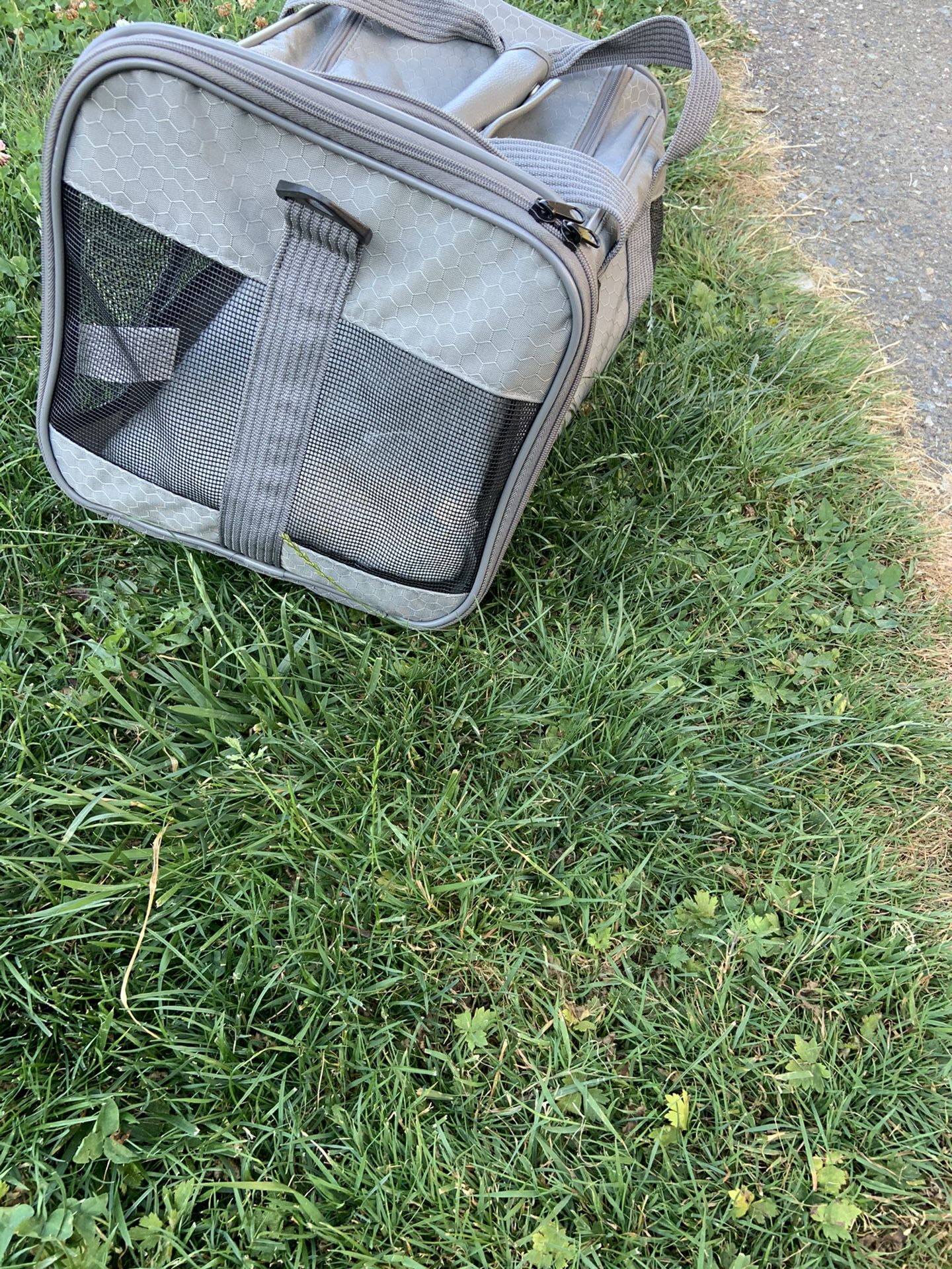 Small dog carrier