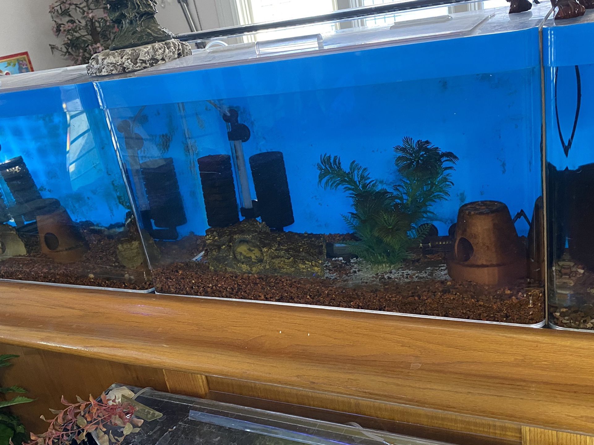 Aquarium Fish Tank Breeding Tank