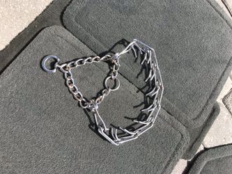 Choker collar for large dog