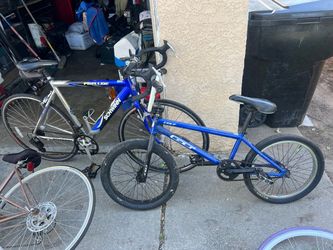 Gt bike and shwinn