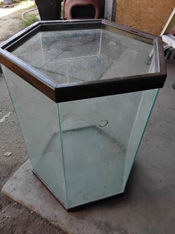 Fish tank