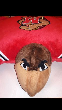 Maryland Terrapins Pet Pillow
