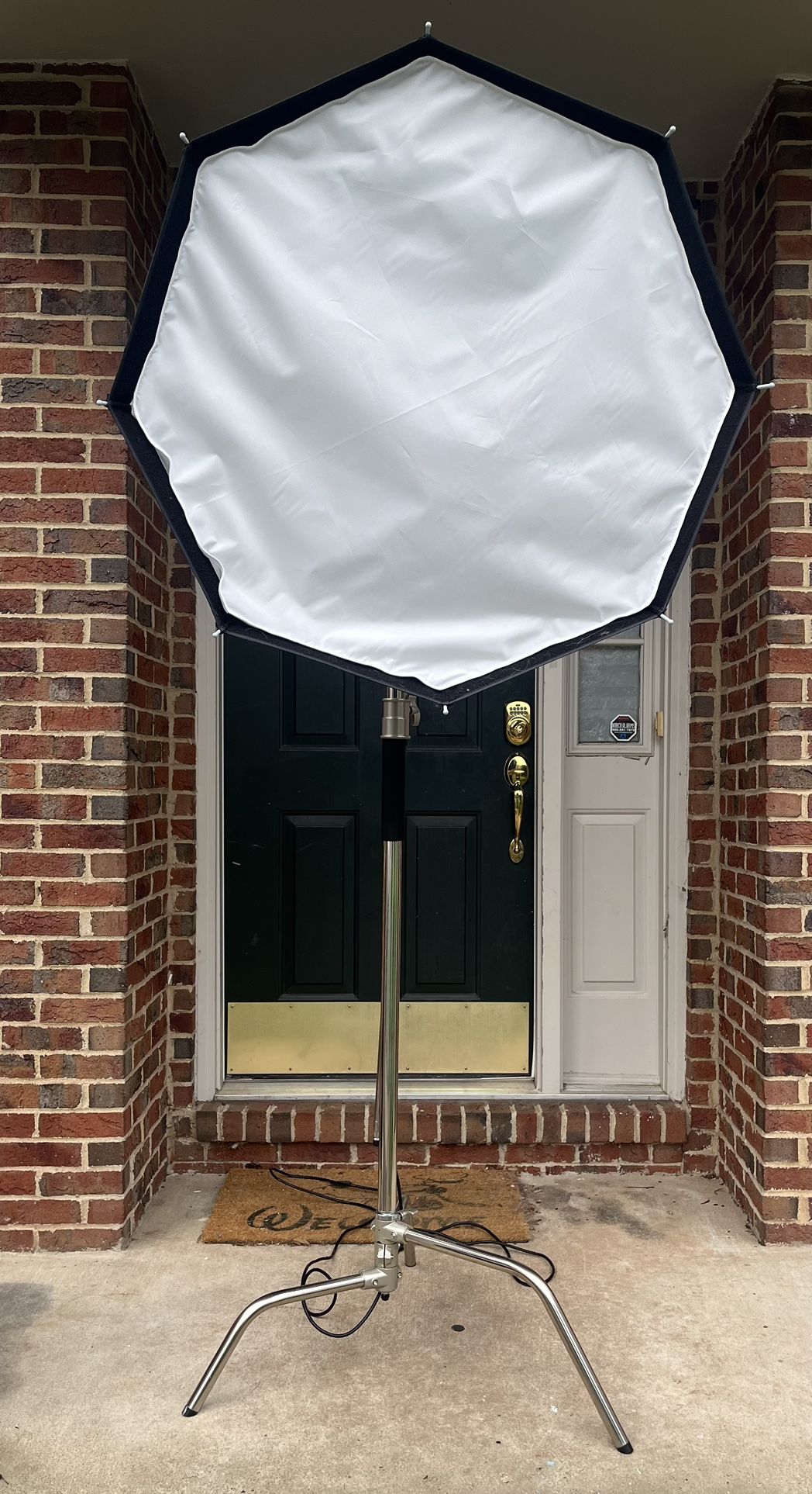 Godox SL60W LED Light with a Neewer C Stand and Softbox
