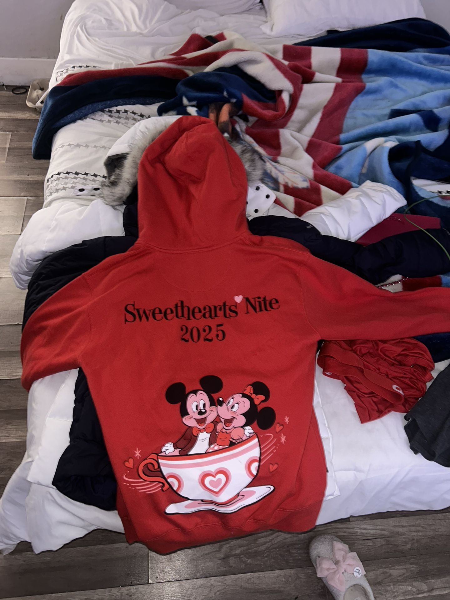 Disneyland